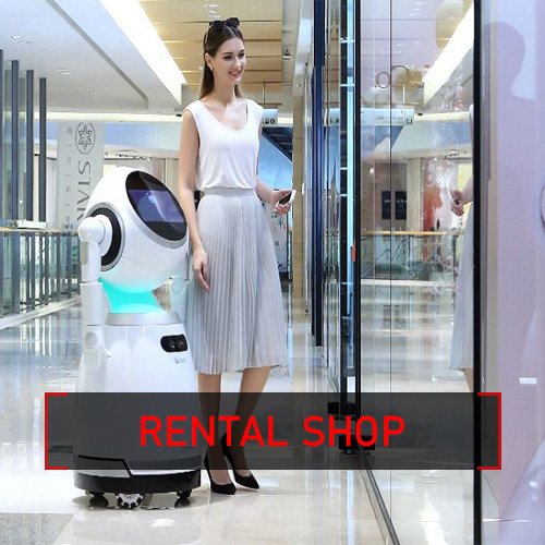 RENTAL SHOP ROBOTS